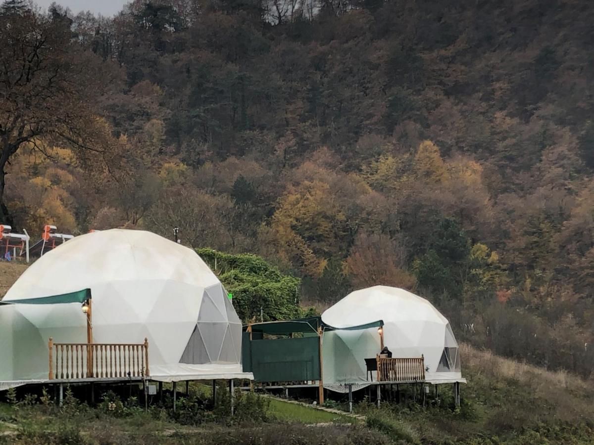 Dengekoru Wildlife & Glamping 호텔 Mudurnu 외부 사진