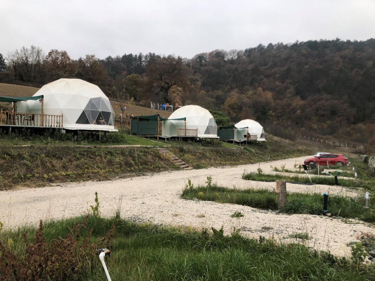 Dengekoru Wildlife & Glamping 호텔 Mudurnu 외부 사진