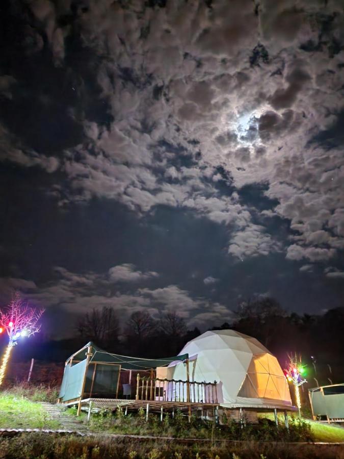 Dengekoru Wildlife & Glamping 호텔 Mudurnu 외부 사진